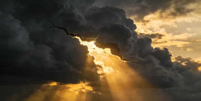 遵义肺癌11基因检测组织版图片1