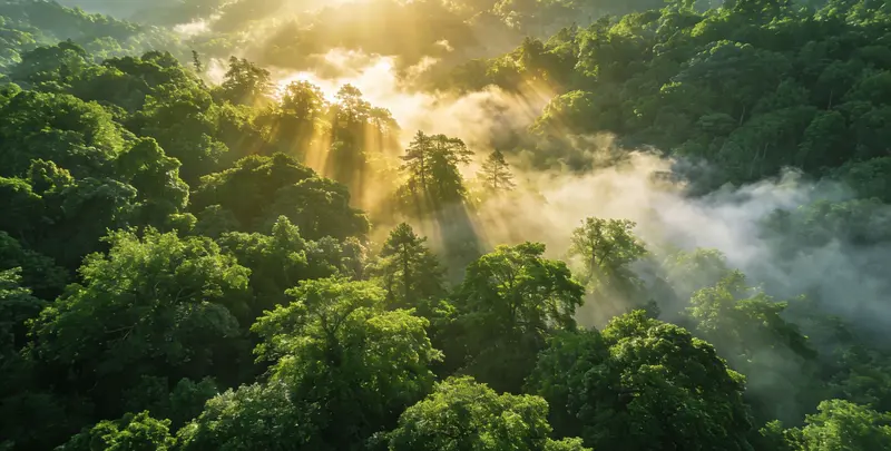 遵义肺癌8基因突变检测（组织）图片1